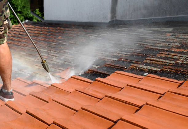 Best Residential Pressure Washing Services  in Wheeler Af, HI